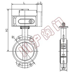 电动对夹蝶阀 结构图