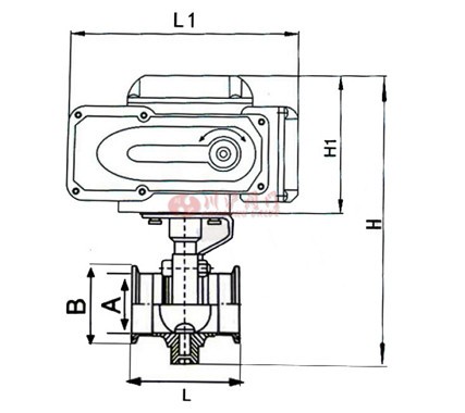 电动卫生级蝶阀结构图