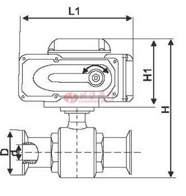 电动卫生级球阀 结构图